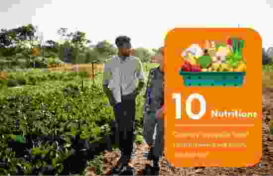 Freshagro